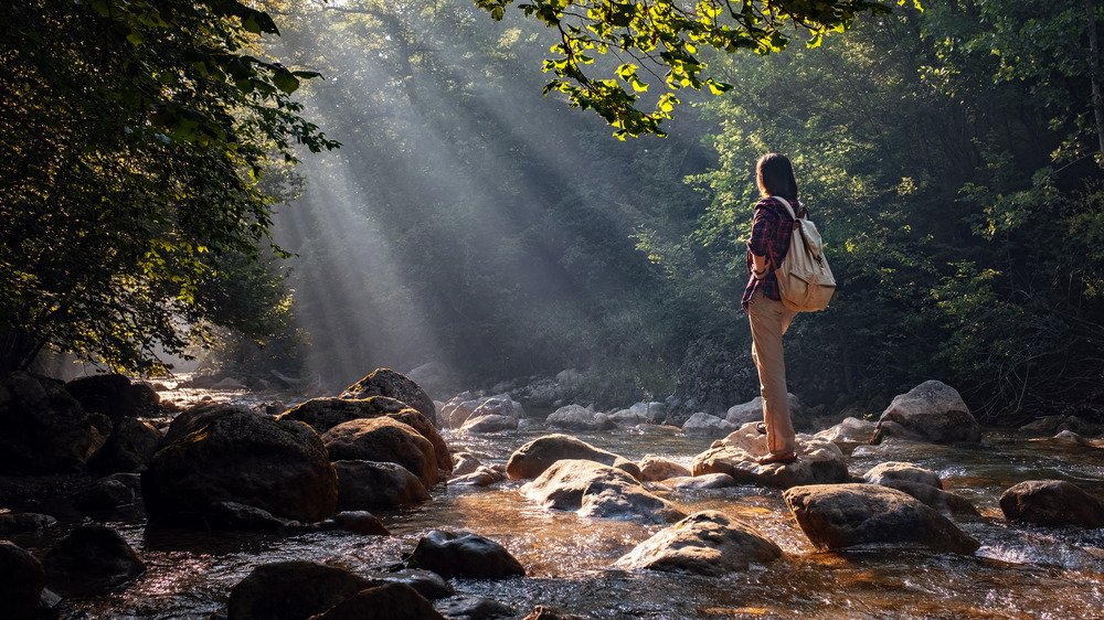 Woman hiking in a forest