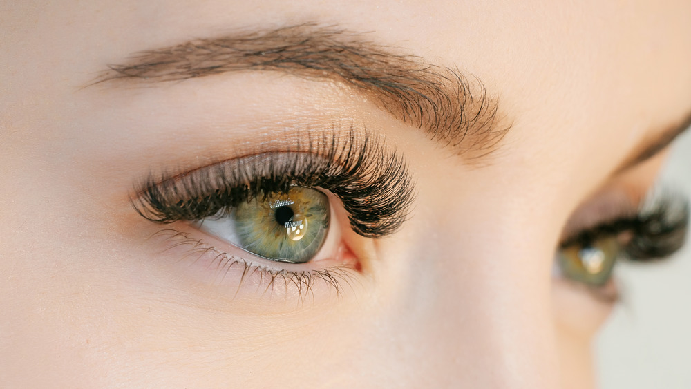 Closeup of woman's eyebrows