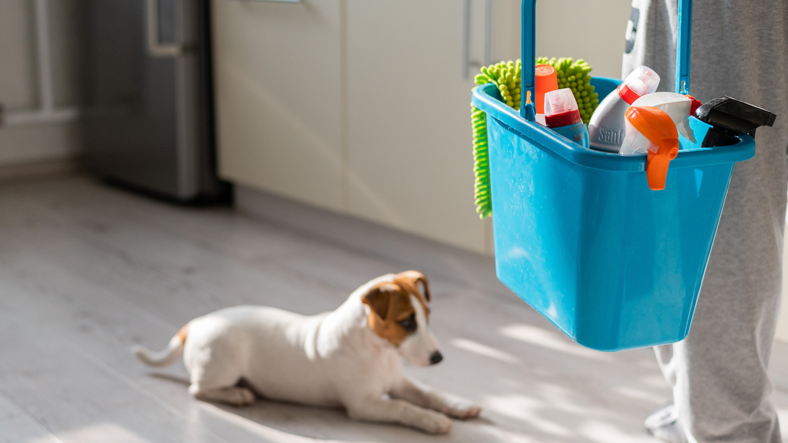 https://www.thelist.com/img/gallery/heres-how-to-make-cleaning-supplies-that-are-safe-for-pets/l-intro-1621444451.jpg