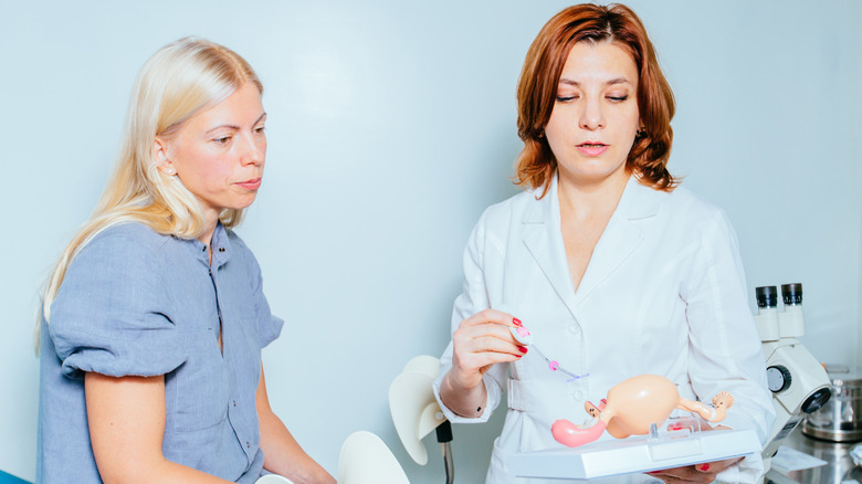 OBGYN using uterus diagram talking to patient