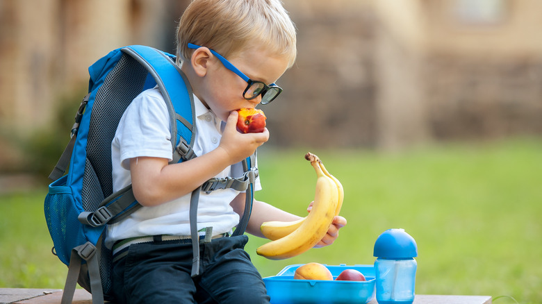 Child eating fruits for lunch