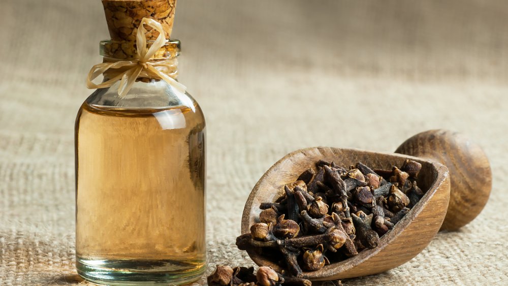 Clove oil and whole cloves 