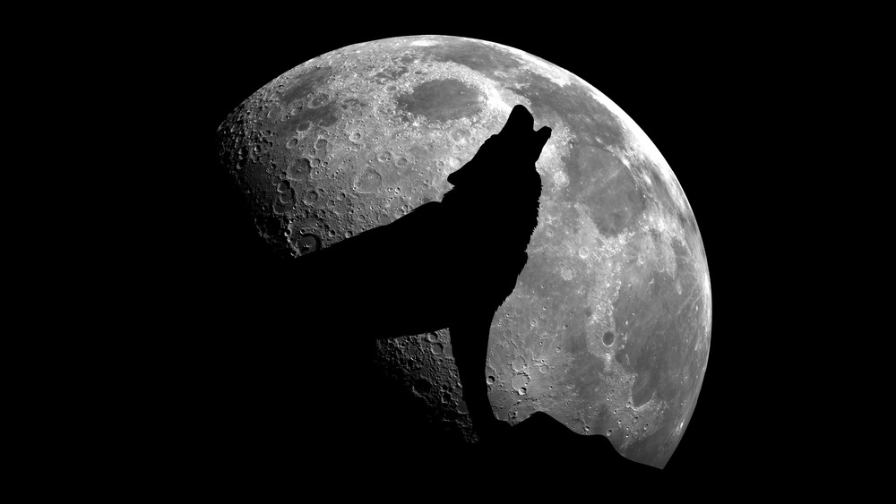 Wolf howling in silhouette with full moon in the background