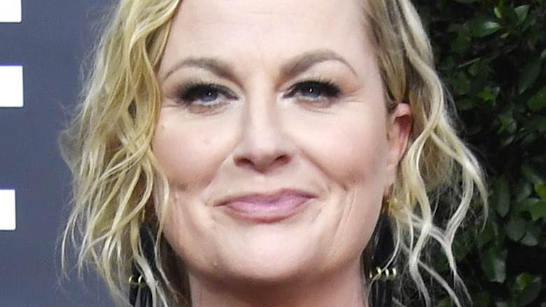 Amy Poehler attends the Golden Globes