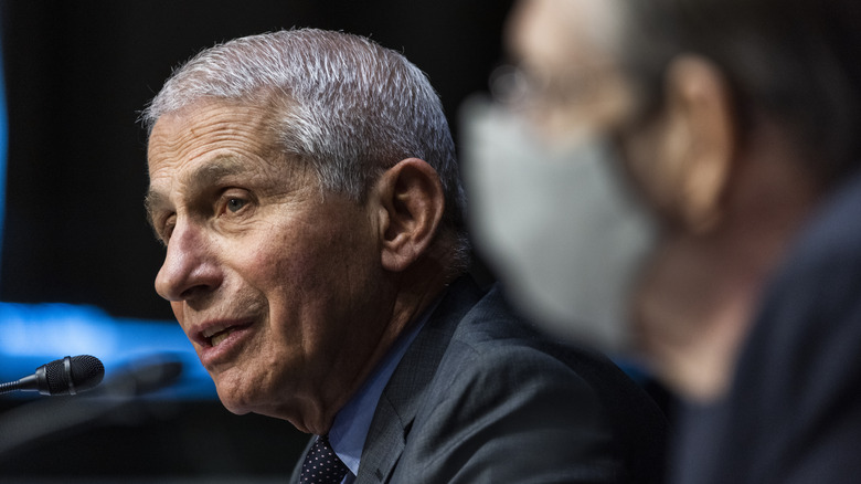 Dr Anthony Fauci at a Congressional hearing