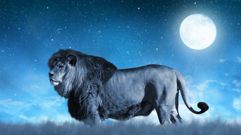 Lion under a moon