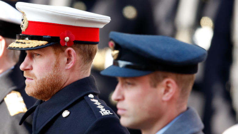 Prince Harry and Prince William at event