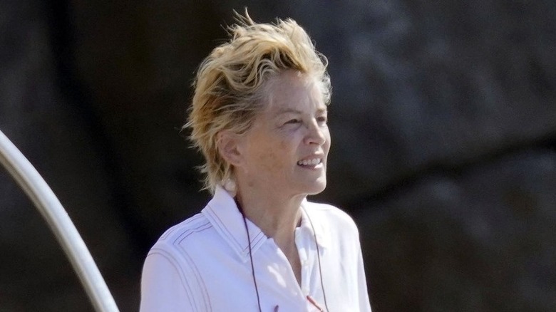 Sharon Stone makeup free