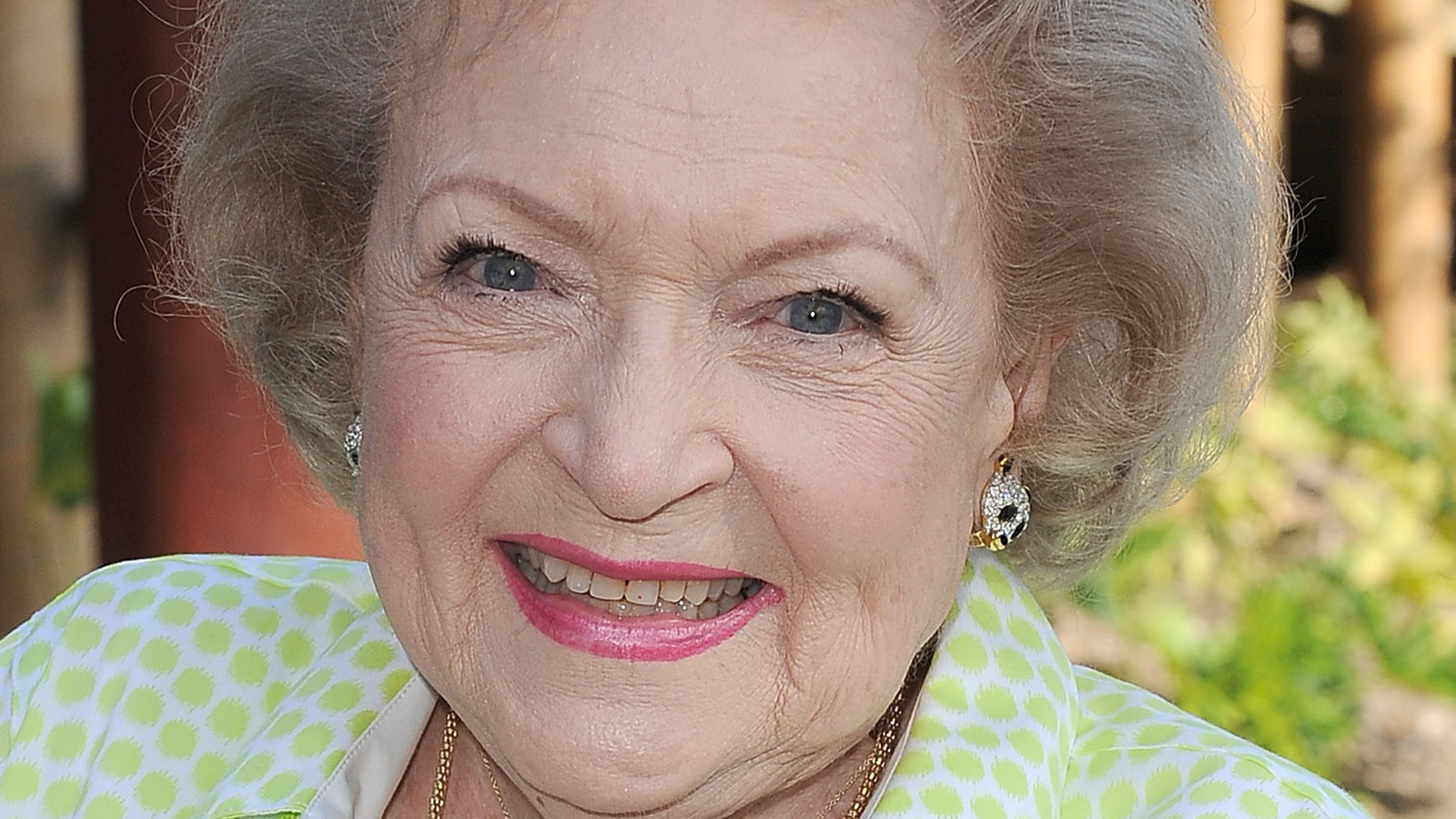 Here's What The Betty White Challenge Achieved For Animal Shelters