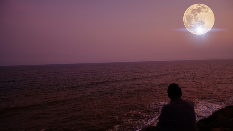 silhouette on beach, looking at the moon