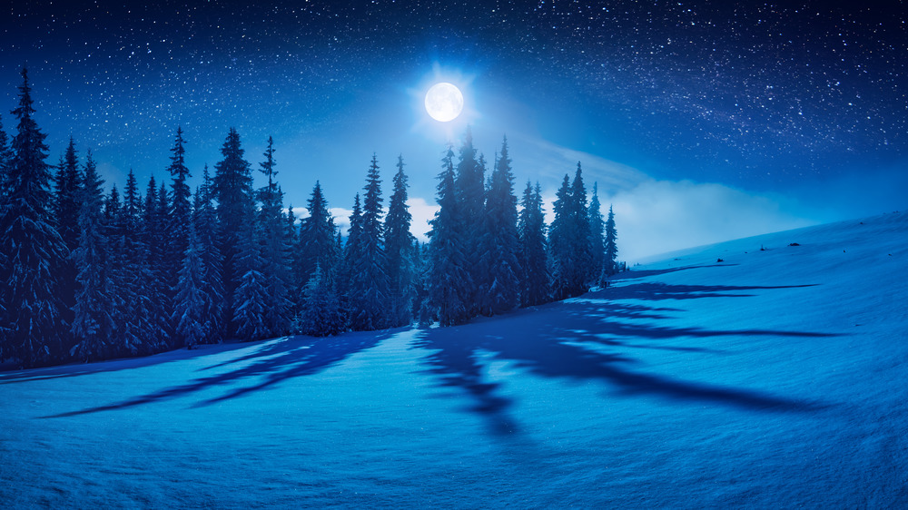 Full moon over pine trees and snow 