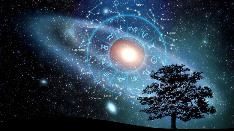 Zodiac signs in starlit sky