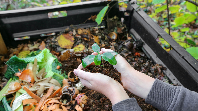 Planting 