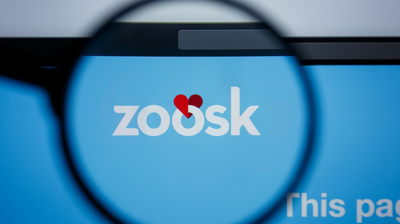 Zoosk app design