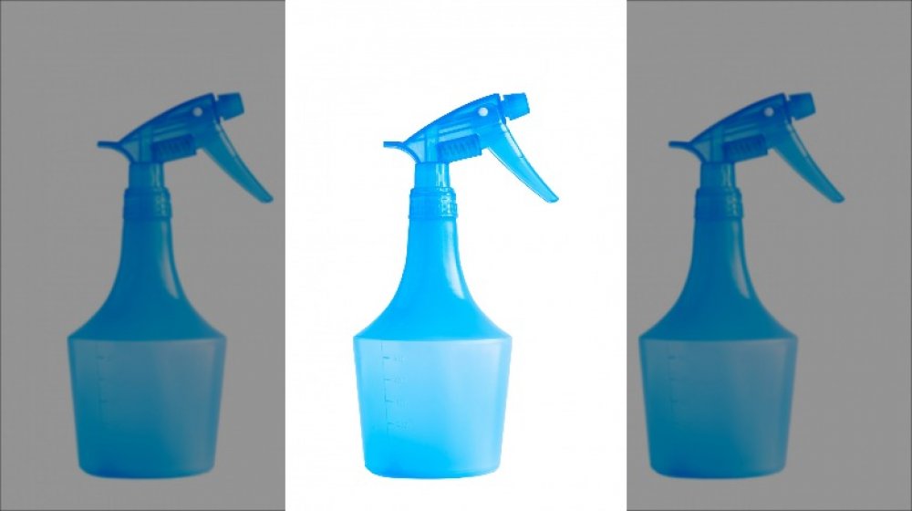 Water spray bottle