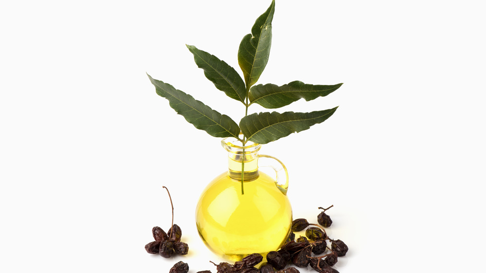 neem oil