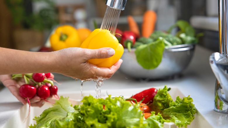 person washing fresh vegetables