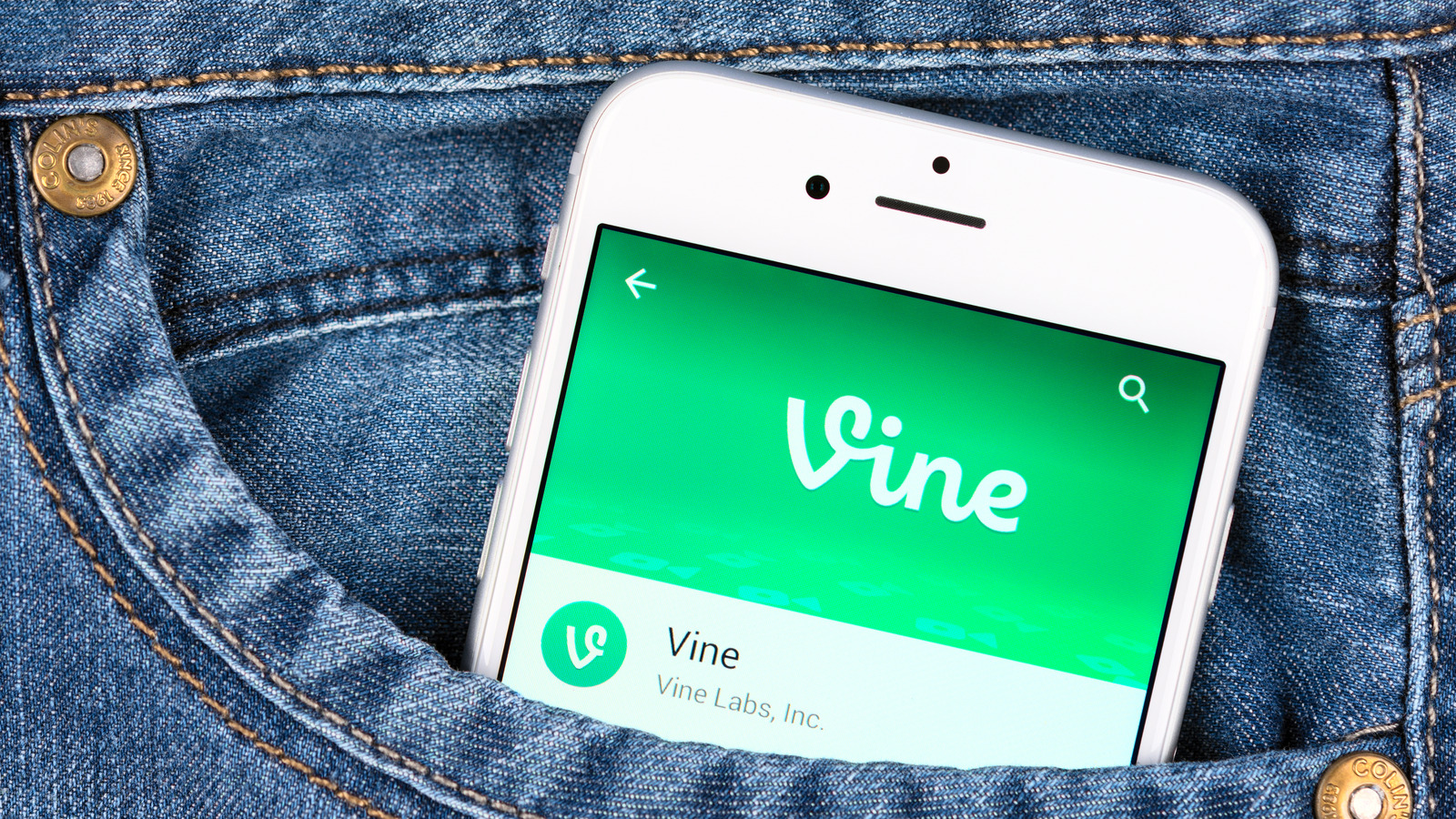 Here's Where The Most Iconic Stars From Vine Are Today