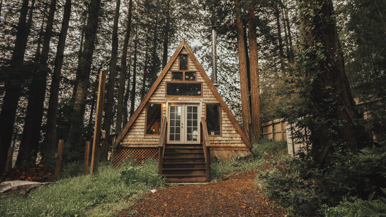 Cabin in the woods next to a river