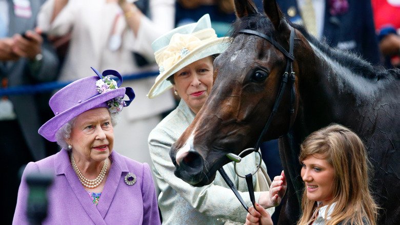 Queen Elizabeth Princess Anne with racehorse Ascot