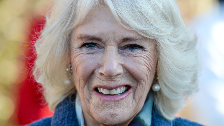 Here's Why Camilla Parker Bowles' Security Arrangements Have The ...