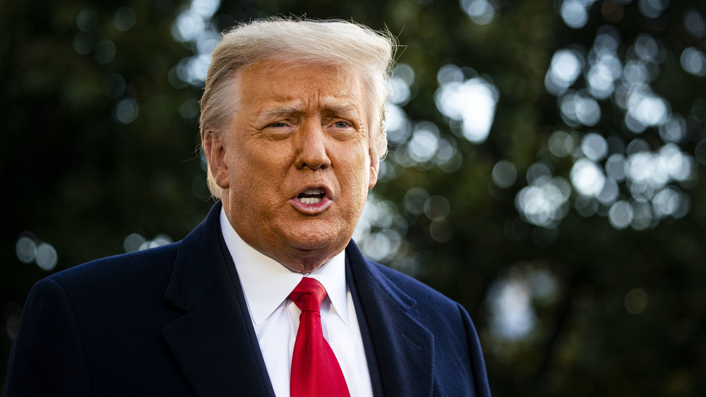 Donald Trump speaking South Lawn