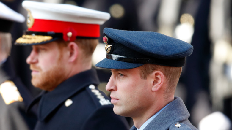 Prince William and Prince Harry at a royal event 