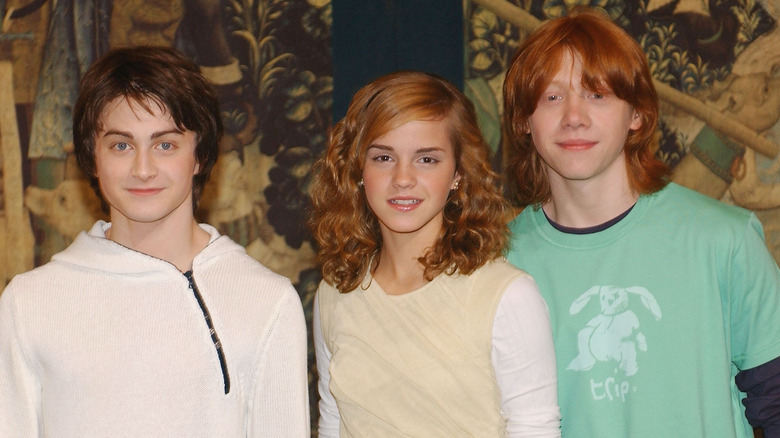 Harry Potter cast together