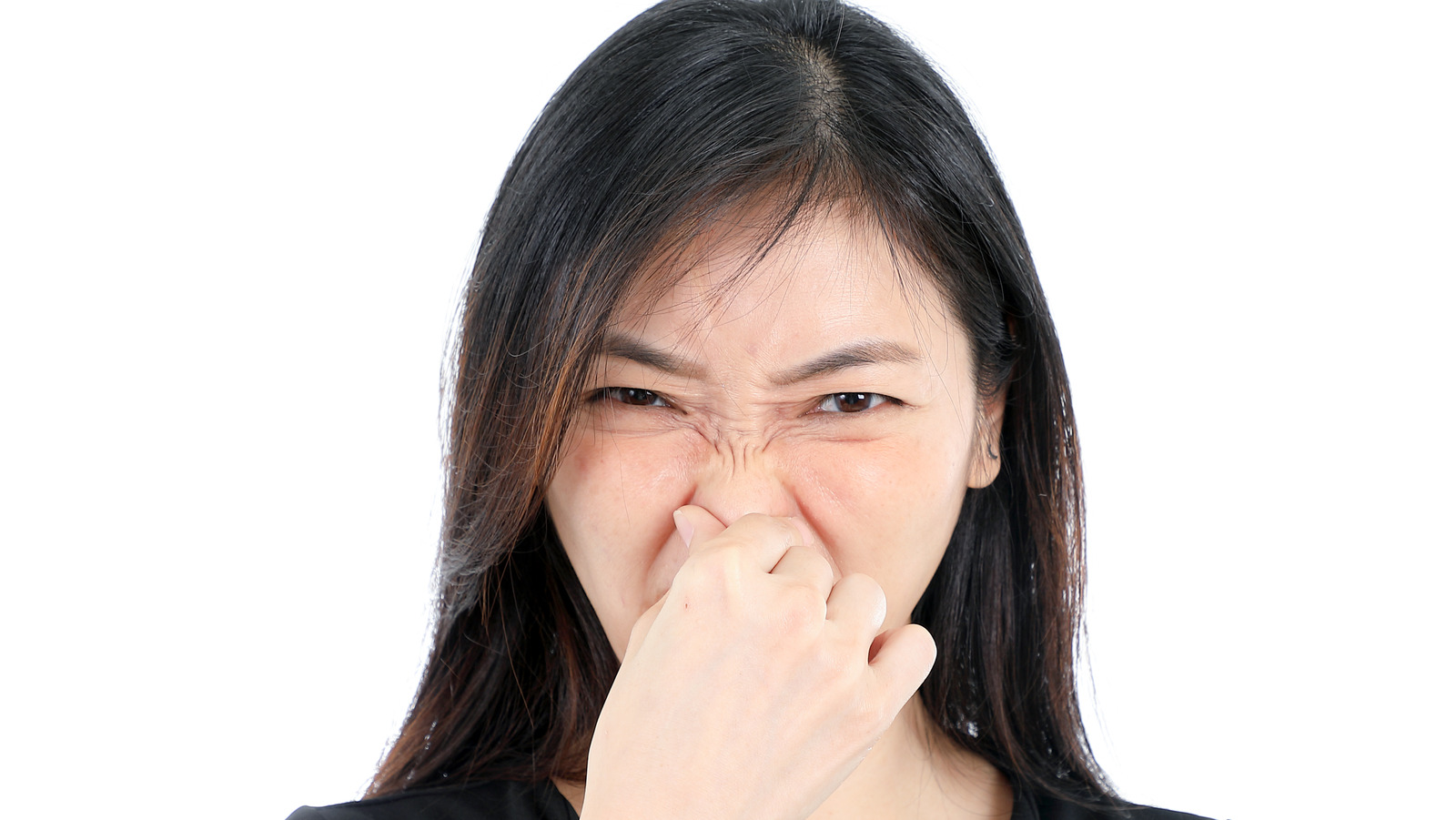 Here s Why Your Nose May Be Twitching