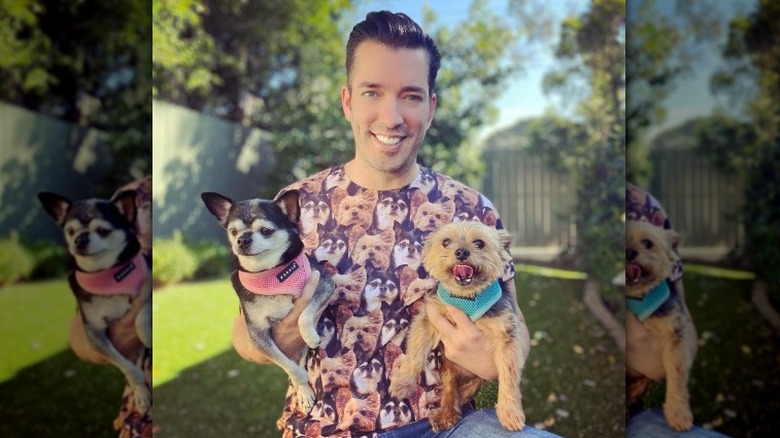 Jonathan Scott smiling with dogs