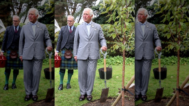 Prince Charles planing a tree 