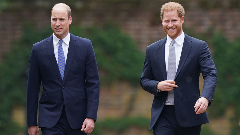 Prince Harry and Prince William walking together