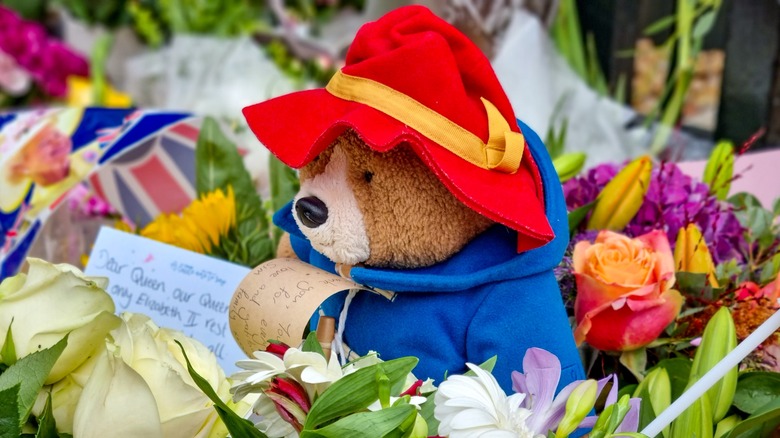 Paddington Bear tribute