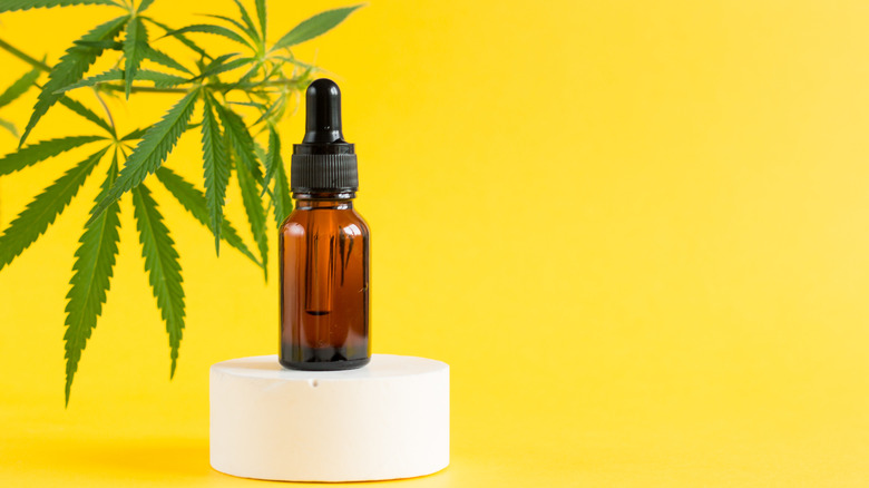 CBD oil bottle on yellow background