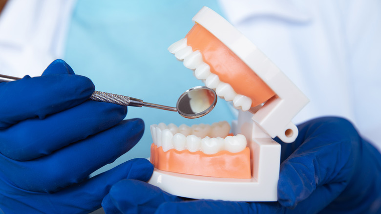 dentist inspecting dentures