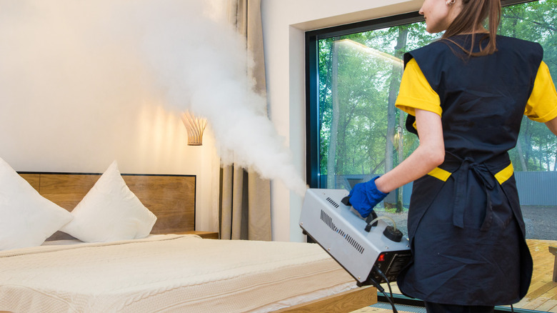 Exterminator bed bugs