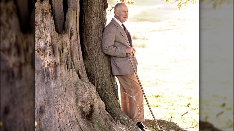 King Charles leaning against oak tree 