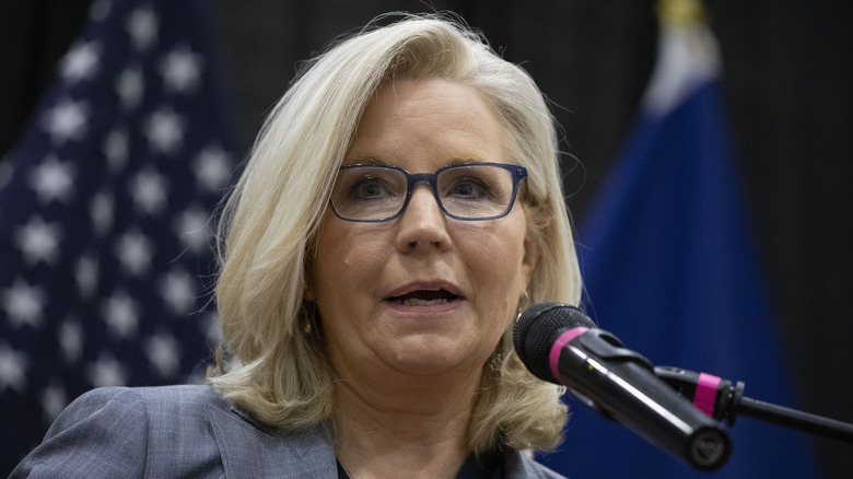 Liz Cheney speaking on stage