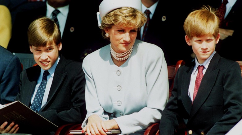 Princess Diana with a young Prince William and Prince Harry