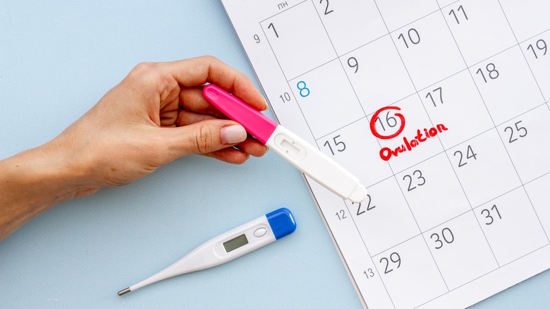 Ovulation marked on a calendar with home pregnancy tests