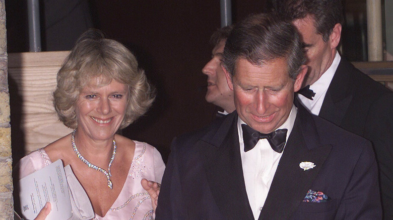 How Prince Charles' Life Changed After Divorcing Diana