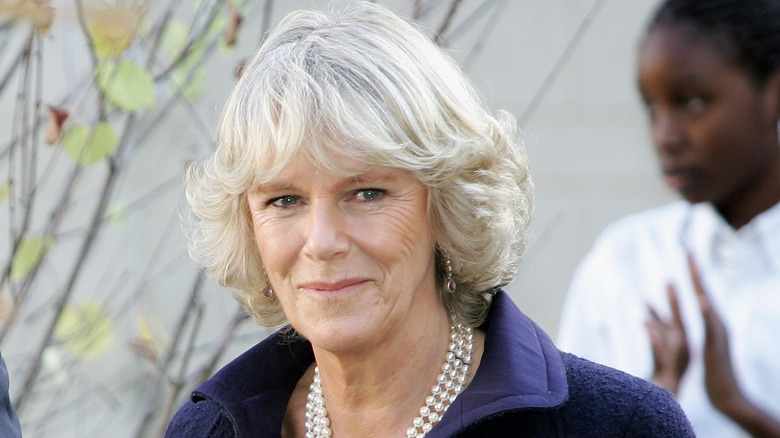 Camilla Parker Bowles in 1998