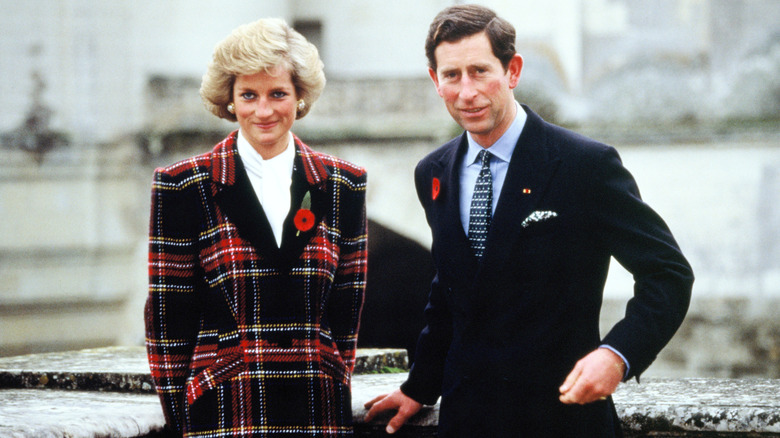 Prince Charles & Princess Diana posing