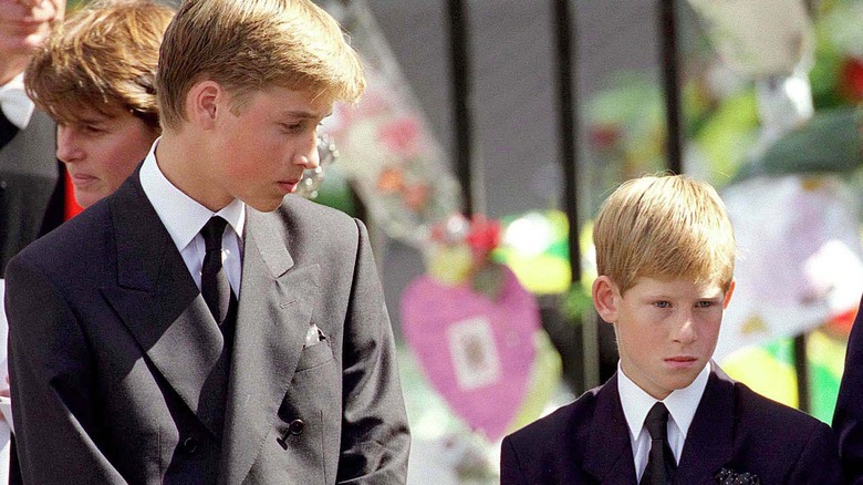 Princes William and Harry attend their mother's funeral