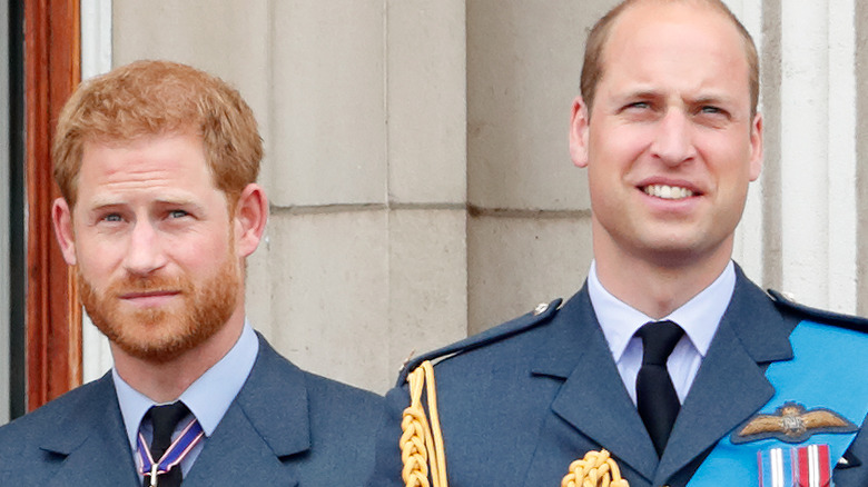 Prince Harry and Prince William 