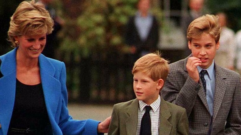 Princess Diana smiling with Prince Harry and William