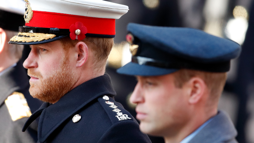 Princes William and Harry wear official dress