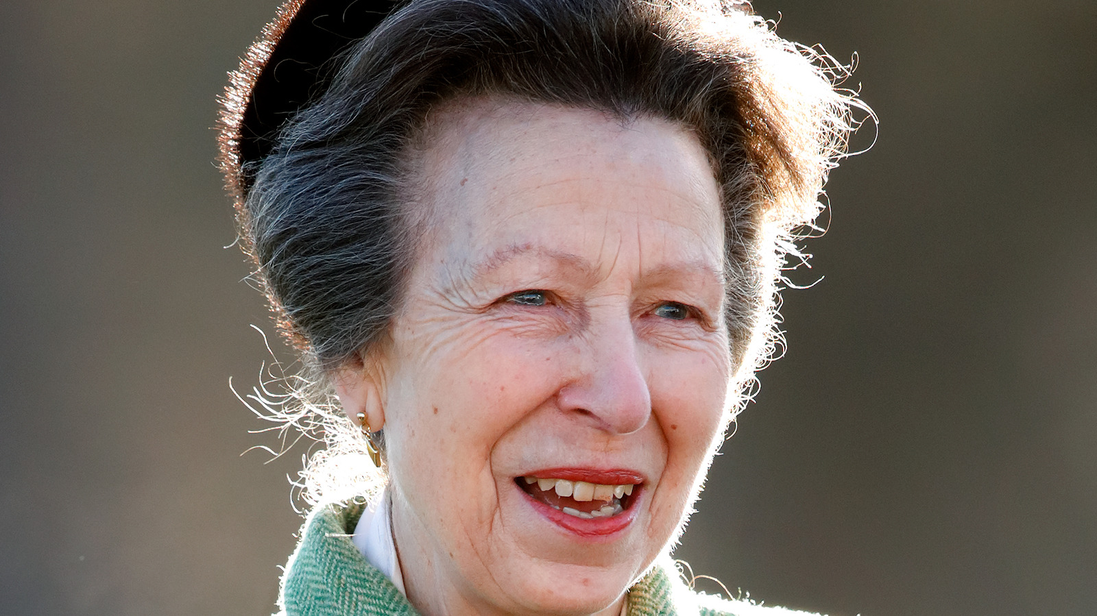 How Princess Anne's Stunning Engagement Ring Broke Royal Tradition