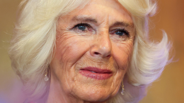 Camilla Parker Bowles looking serious