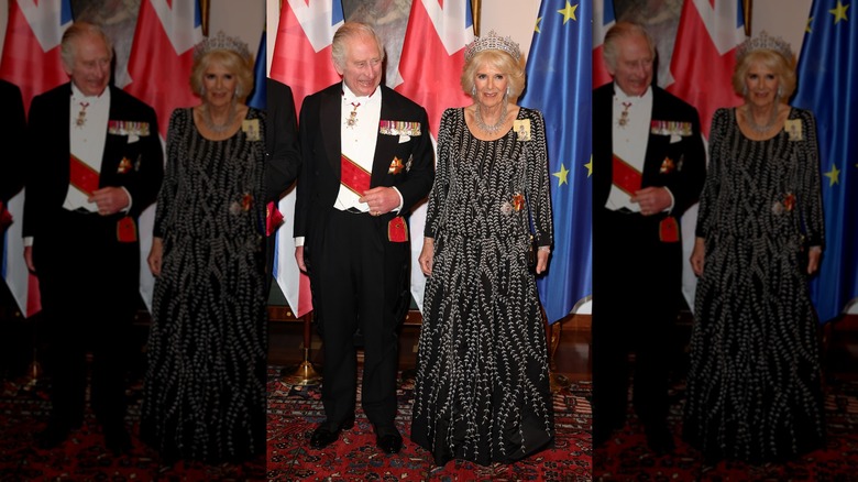 King Charles and Queen Camilla posing 